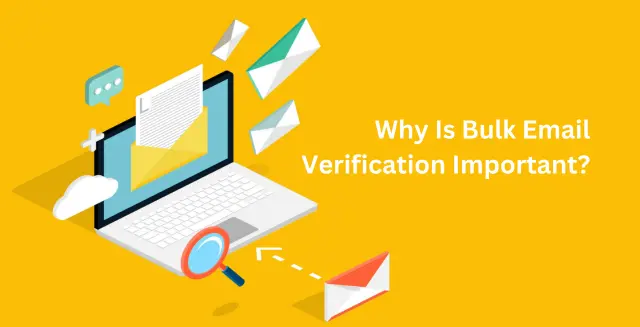 Why Is Bulk Email Verification Important?